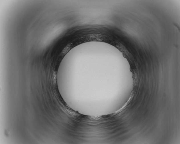 X0000098210191200804241110