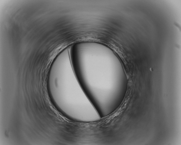 X0000098210193200804241109