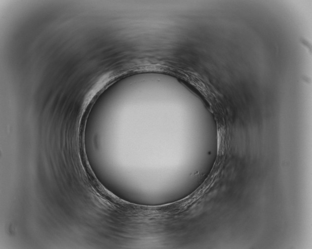 X0000098210195200804241109