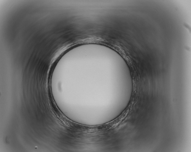 X0000098210196200804241109
