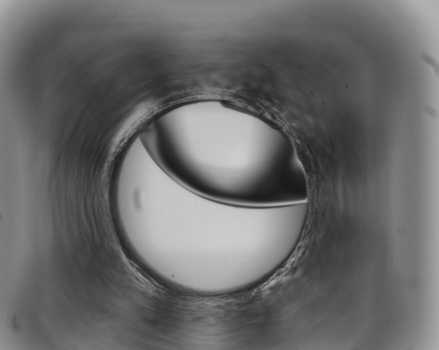 X0000098210197200804241109