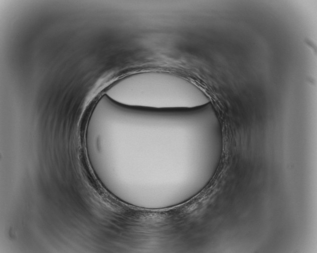X0000098210198200804241109