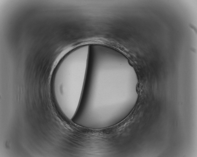 X0000098210200200804241109