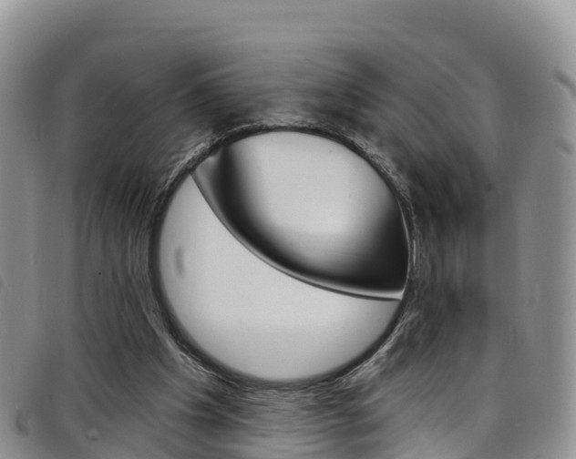 X0000098210201200804241109