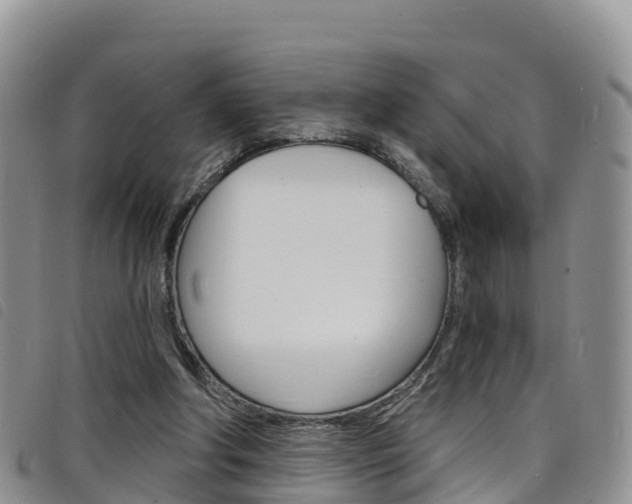 X0000098210202200804241109