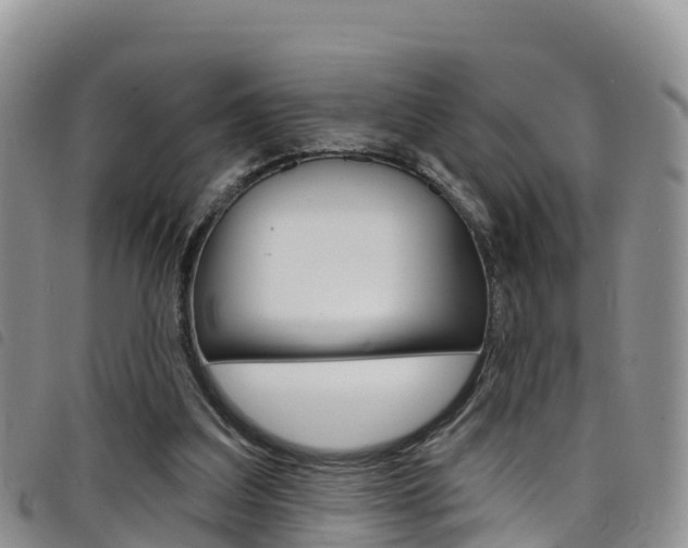 X0000098210203200804241109