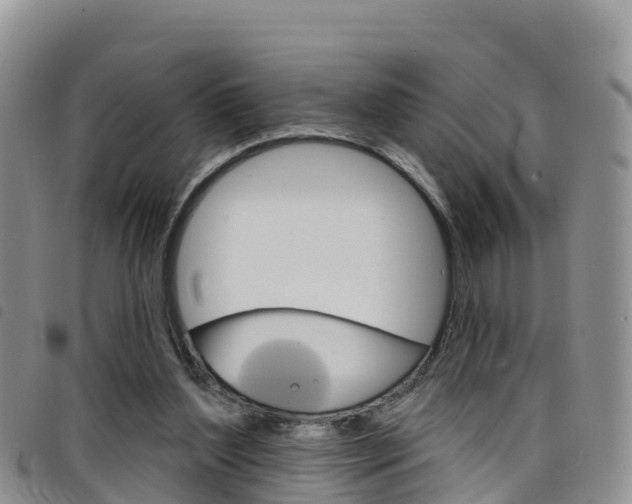 X0000098210204200804241109