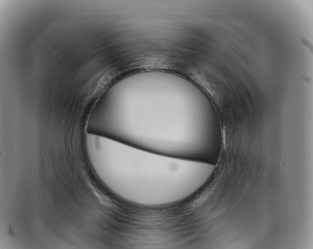 X0000098210205200804241109