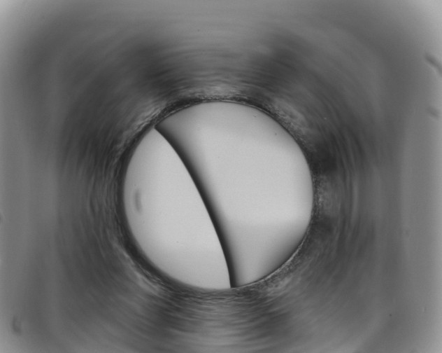 X0000098210206200804241109