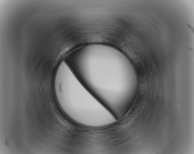 X0000098210207200804241109