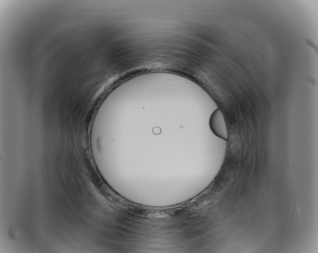 X0000098210208200804241109