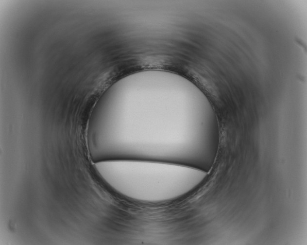 X0000098210209200804241109