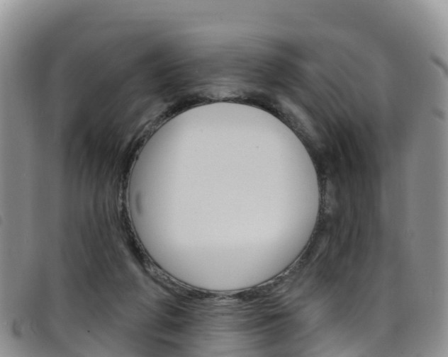 X0000098210210200804241109