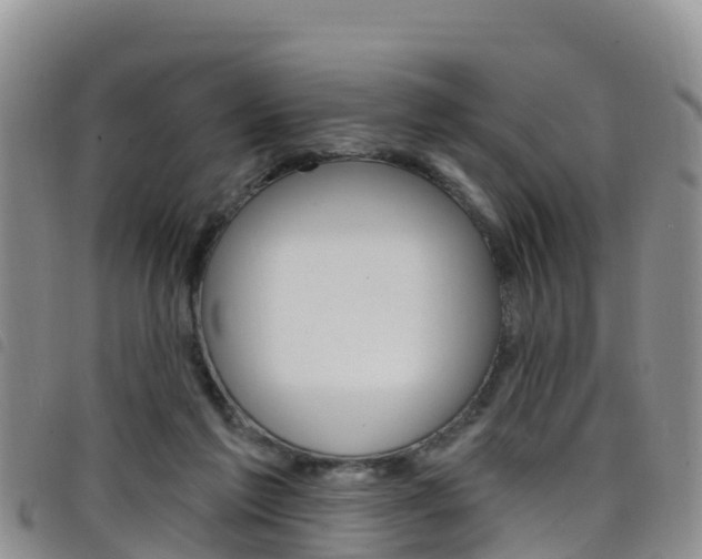 X0000098210213200804241109