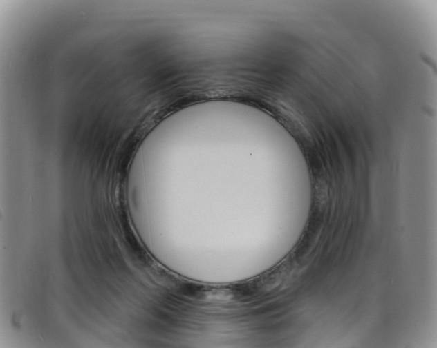 X0000098210214200804241109