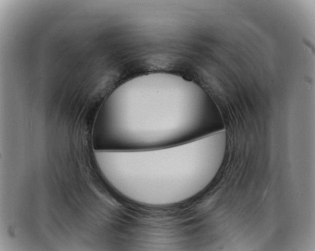 X0000098210215200804241109