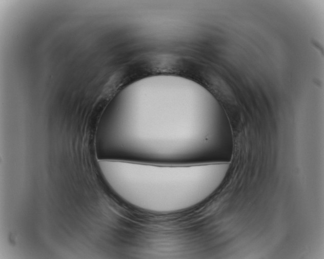X0000098210217200804241109