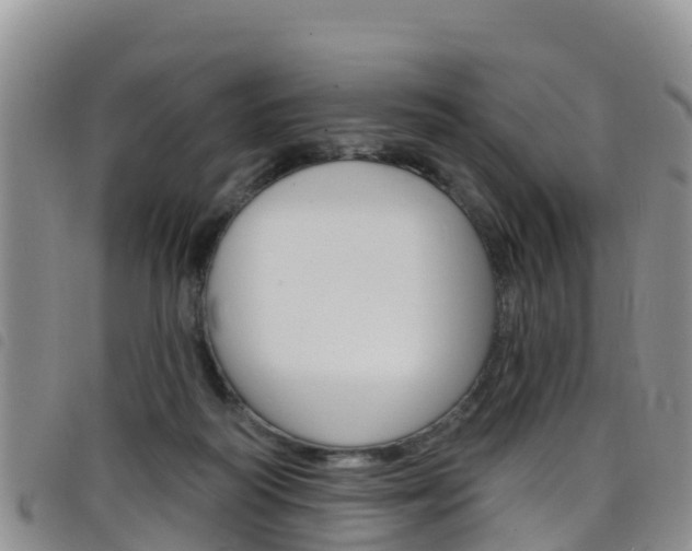 X0000098210218200804241109