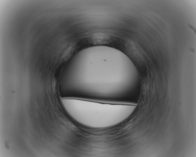 X0000098210219200804241109