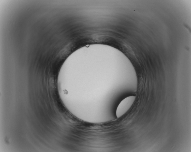 X0000098210220200804241109