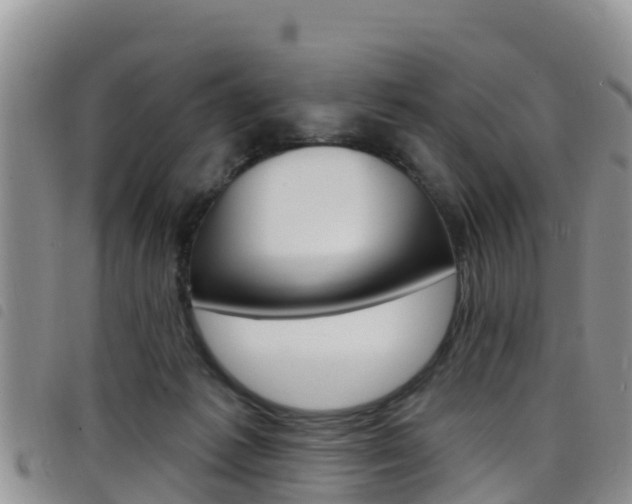 X0000098210221200804241109