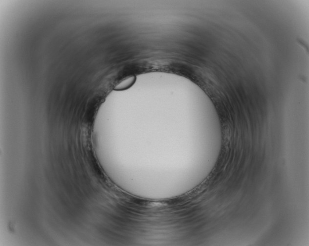 X0000098210222200804241109