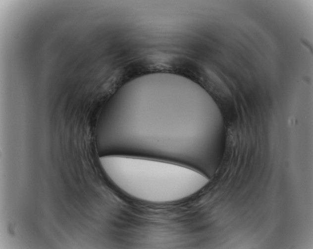 X0000098210223200804241109