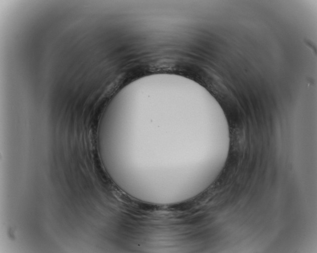 X0000098210224200804241109