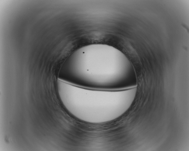 X0000098210225200804241109