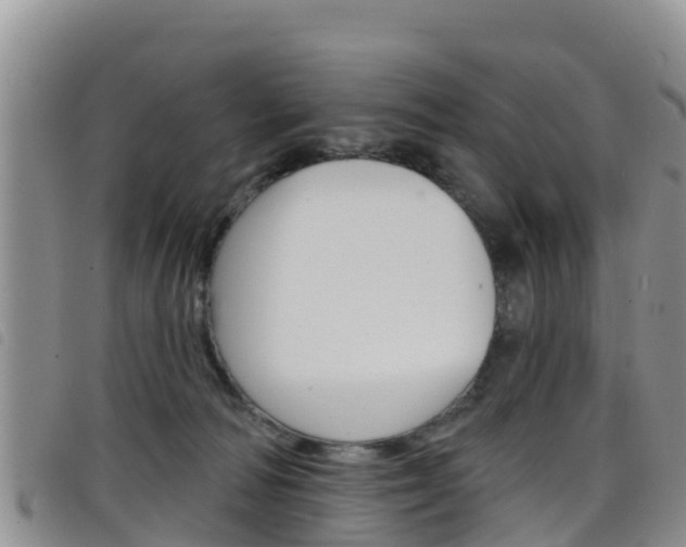 X0000098210226200804241109