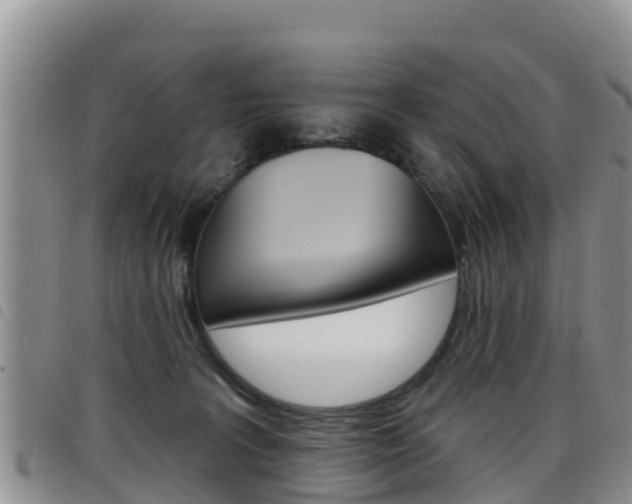 X0000098210227200804241109