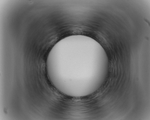 X0000098210228200804241109