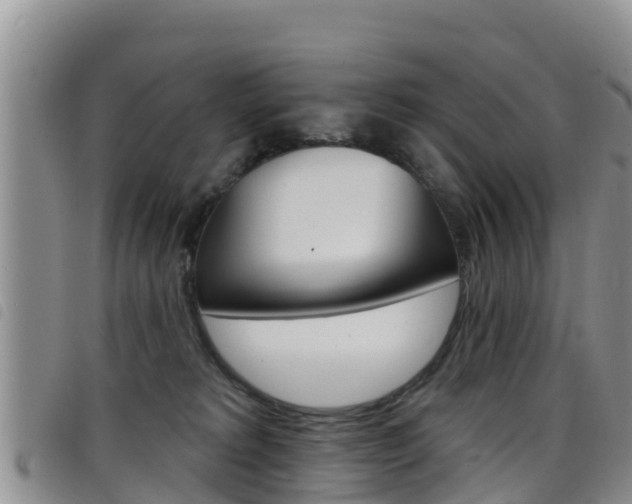 X0000098210229200804241109