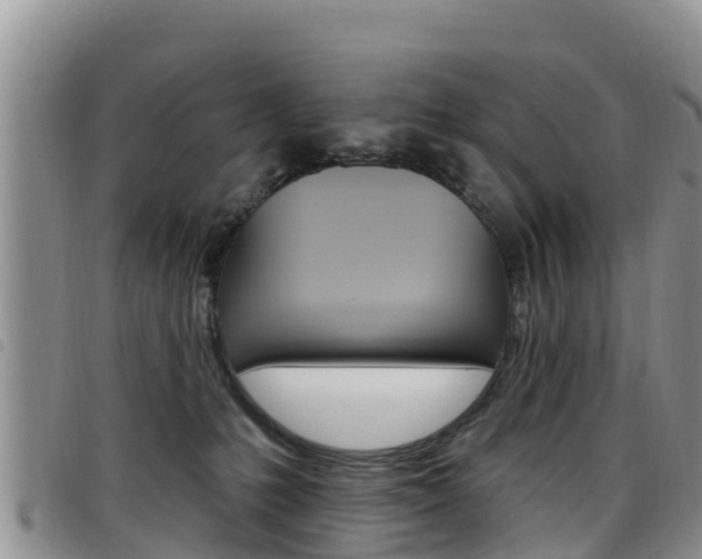 X0000098210231200804241109