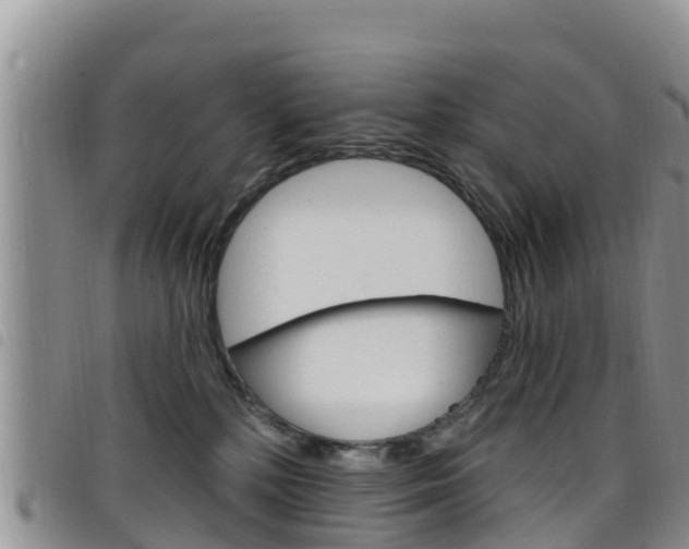 X0000098210232200804241109