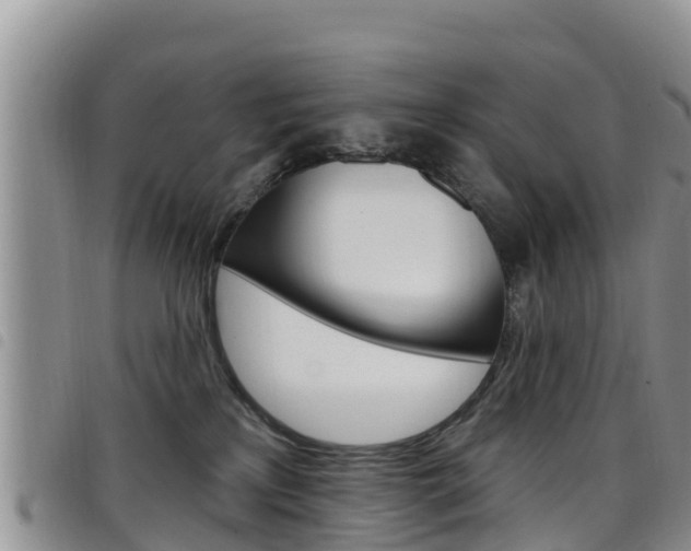 X0000098210233200804241109