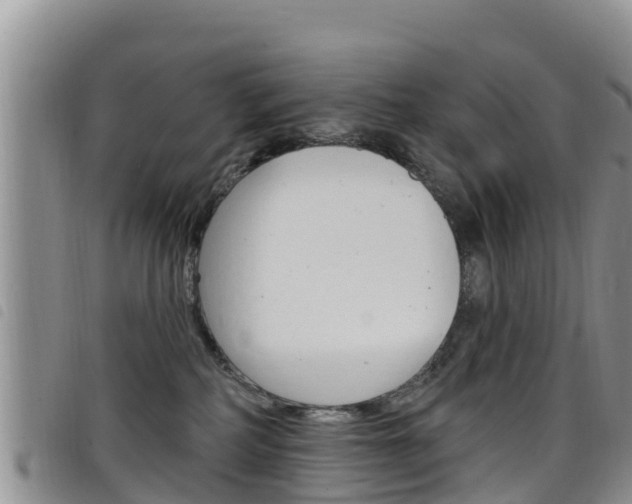 X0000098210234200804241109