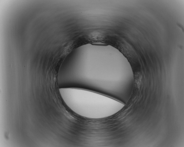 X0000098210235200804241109
