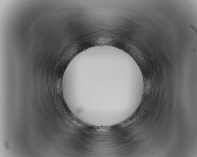 X0000098210236200804241109