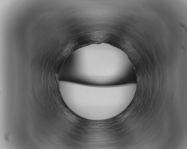 X0000098210237200804241109