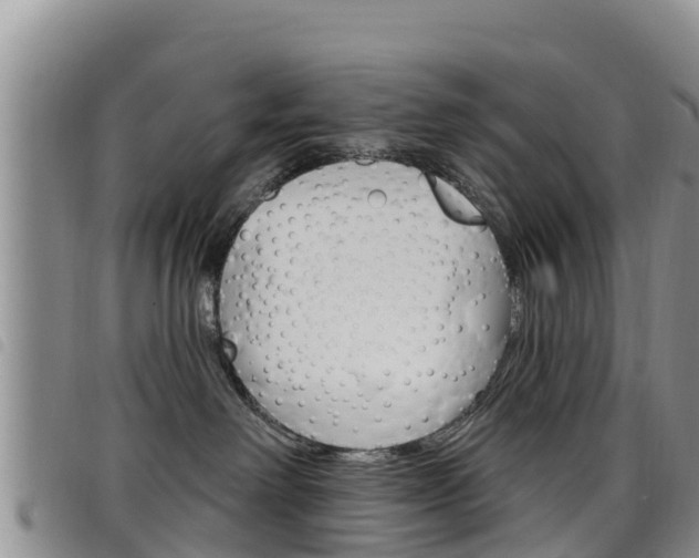 X0000098210238200804241109