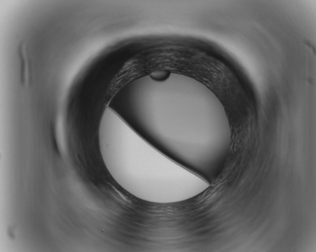 X0000098210239200804241109