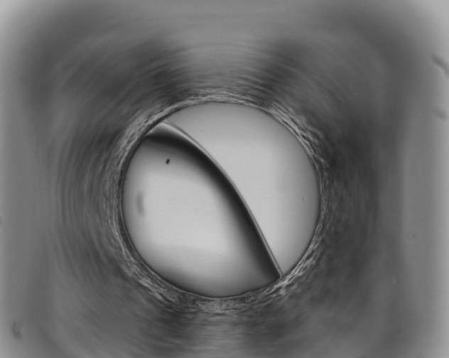 X0000098210241200804241108