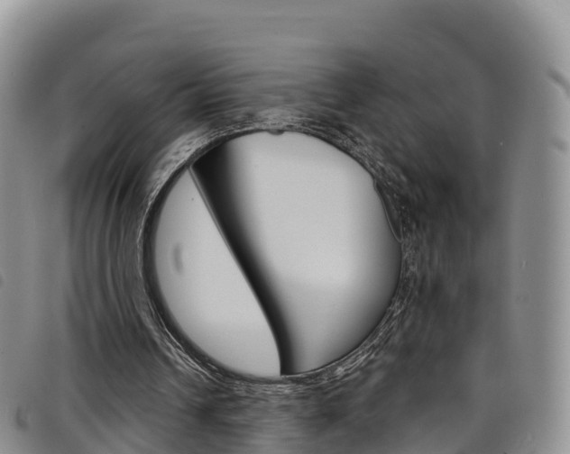 X0000098210242200804241108