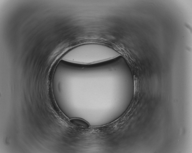 X0000098210243200804241108
