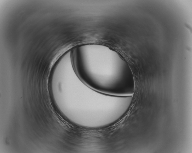 X0000098210244200804241108