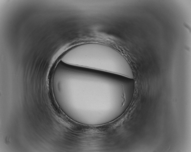 X0000098210246200804241108