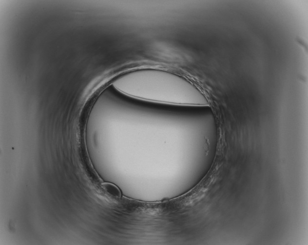 X0000098210247200804241108