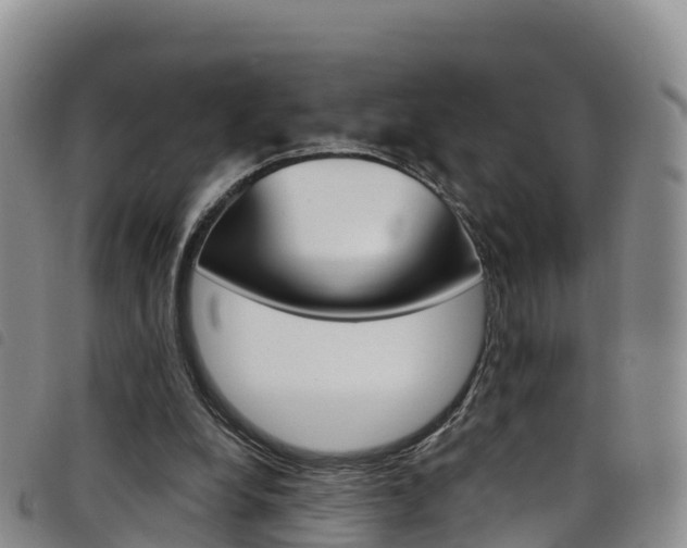 X0000098210248200804241108