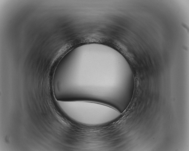 X0000098210250200804241108